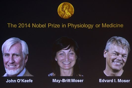 Le prix Nobel de médecine attribué à trois chercheurs en neurosciences - ảnh 1